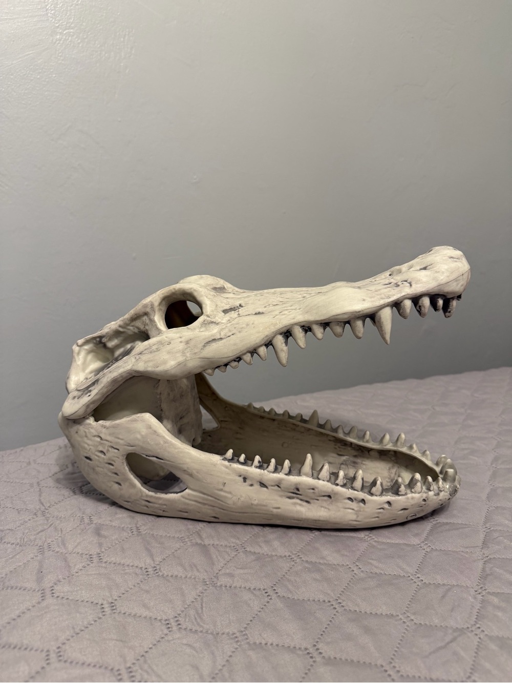 Alligator Skull Decor White - Halloween